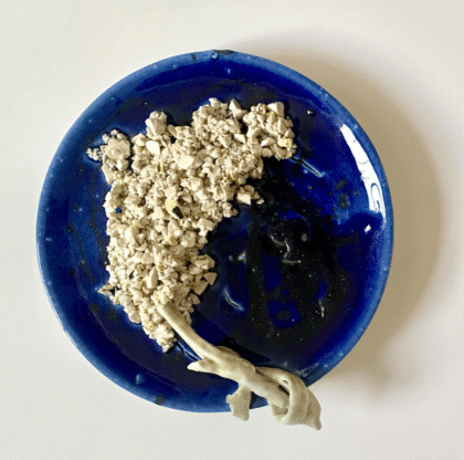 Rosa Nguyen Planetary Herbarium dish #2