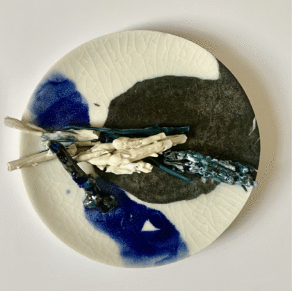 Rosa Nguyen Planetary Herbarium dish #1