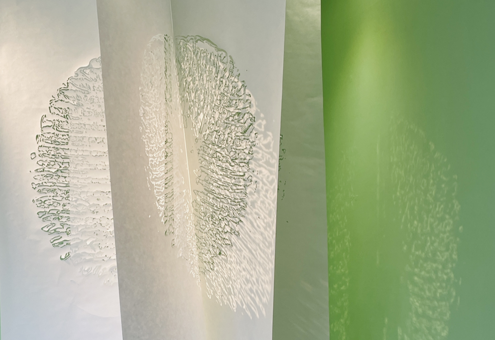 Tracy Hill-Natural Frequencies /3rd try