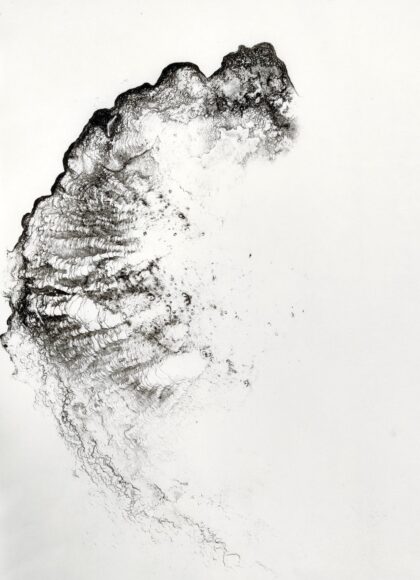 Tracy Hill, Capillarity
