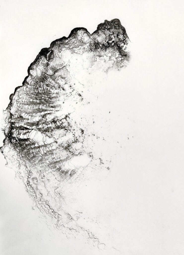 Tracy Hill, Capillarity