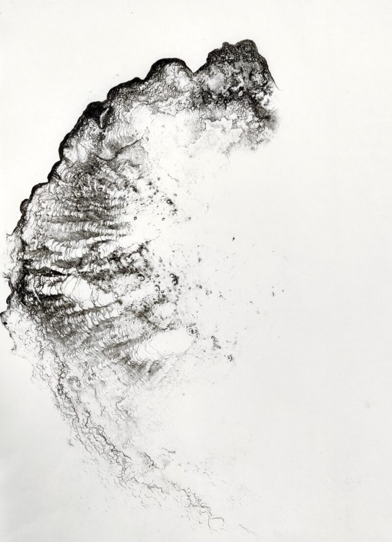 Tracy Hill, Capillarity