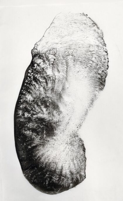 Tracy Hill, Flux, 2021