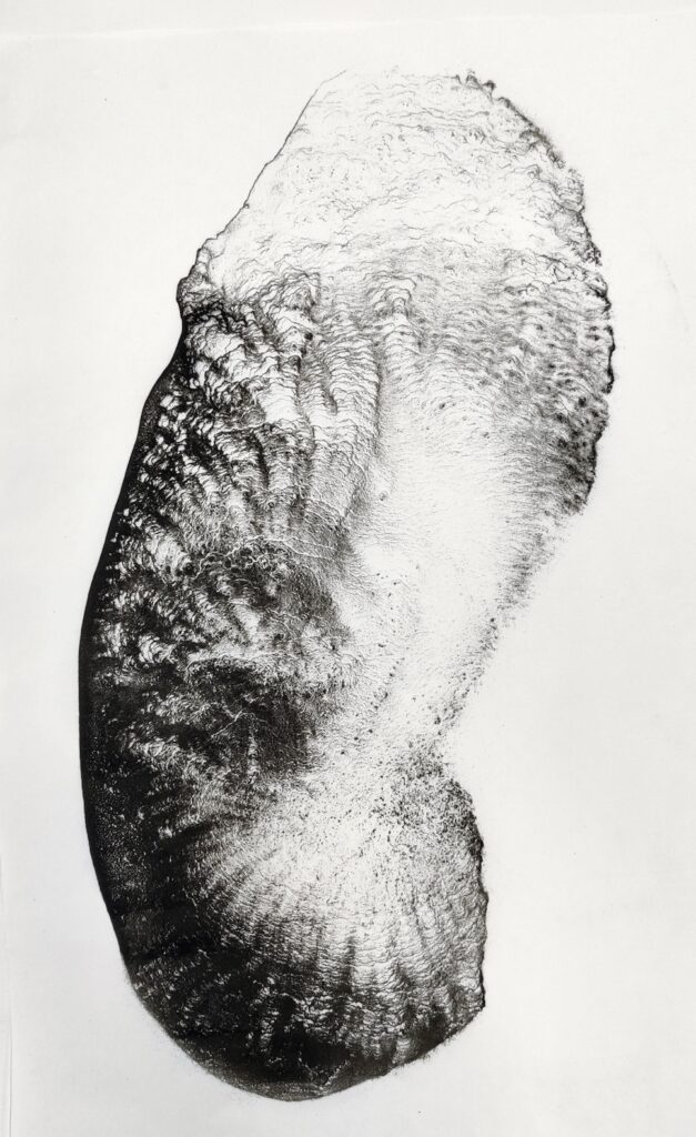 Tracy Hill, Flux, 2021