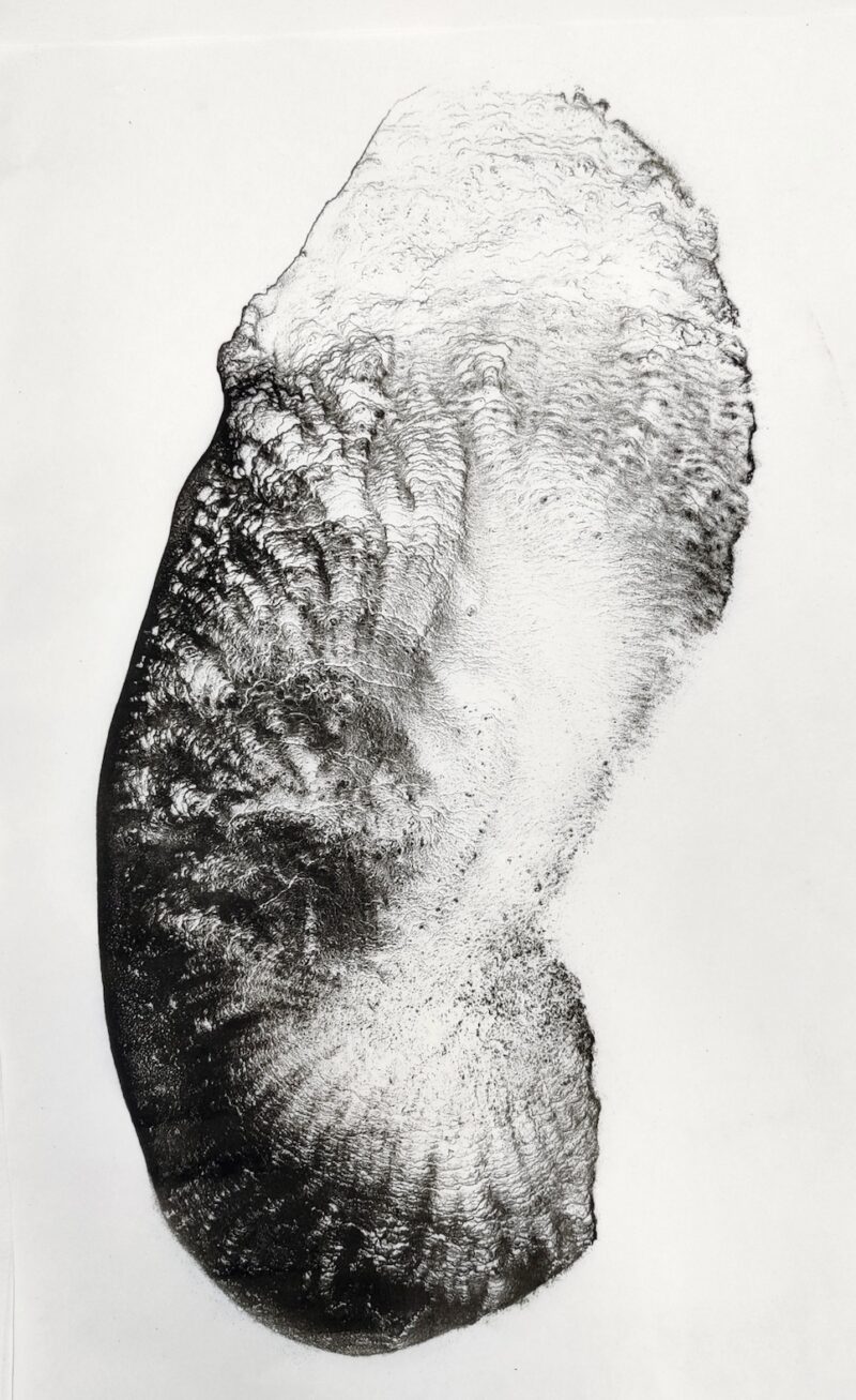 Tracy Hill, Flux, 2021