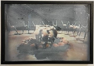 Dereck Harris - Sequence IV