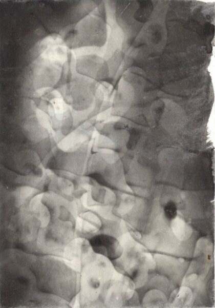 Sayako Sugawara - Echo I (The Shadows of the Flowers series)