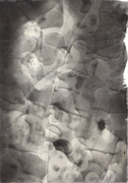 Sayako Sugawara - Echo I (The Shadows of the Flowers series)