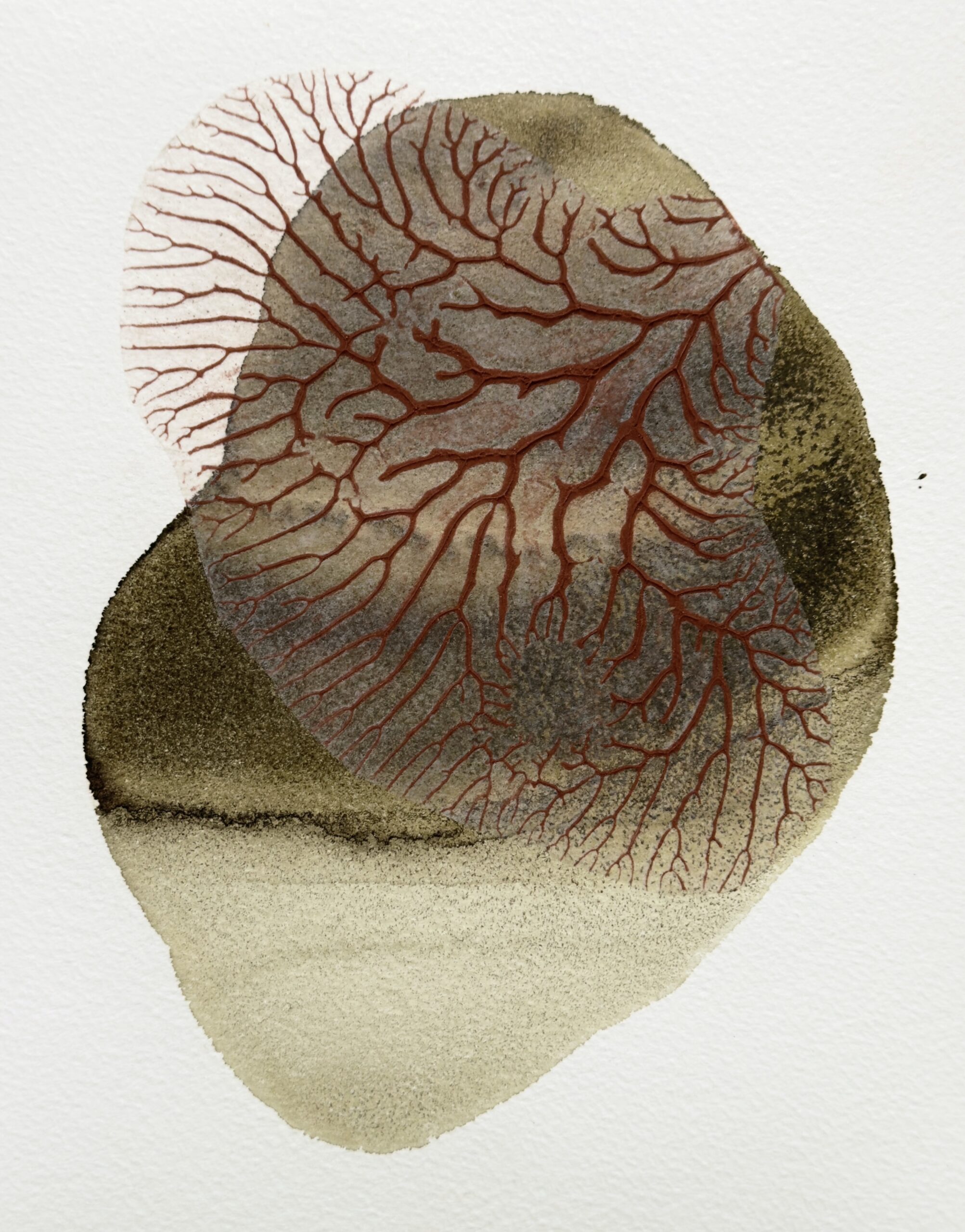 Sam Hodge - Out of the House (ivy and brick)