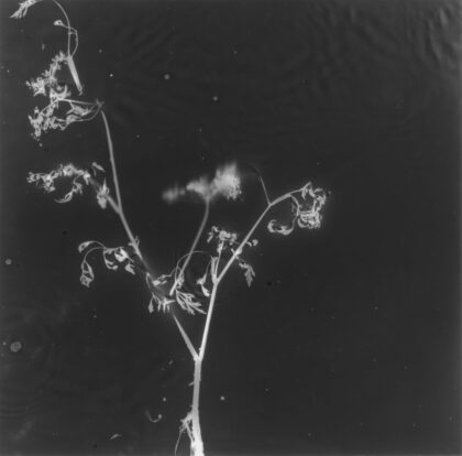 Kate Beaugié - MINUTE MIRACLES