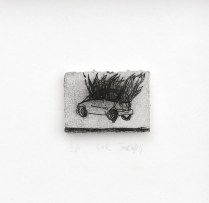 Tamsin Relly - Car, 2011