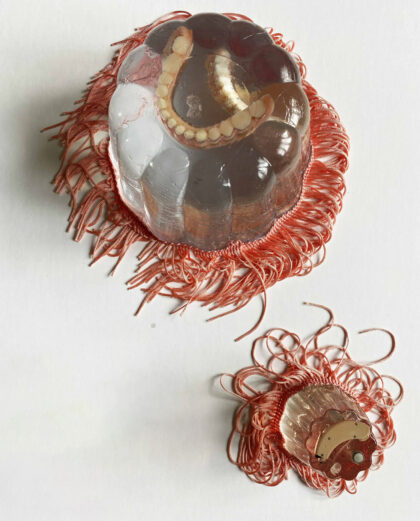 Sadie Hennessy - Mauve Stingers