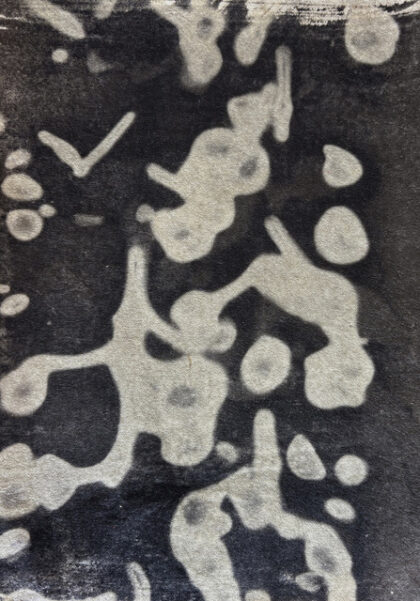 Sayako Sugawara - Echo III from the series The Shadows of the Flowers